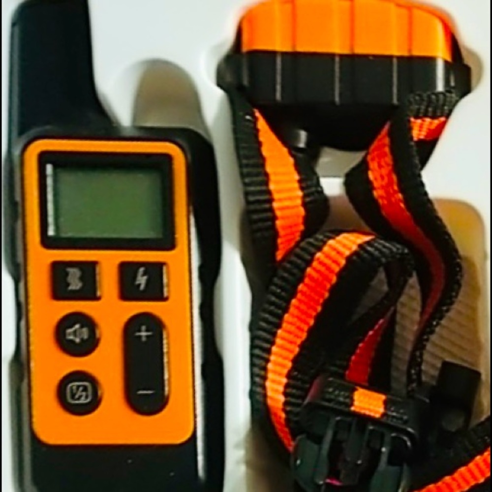 Remote dog training collar